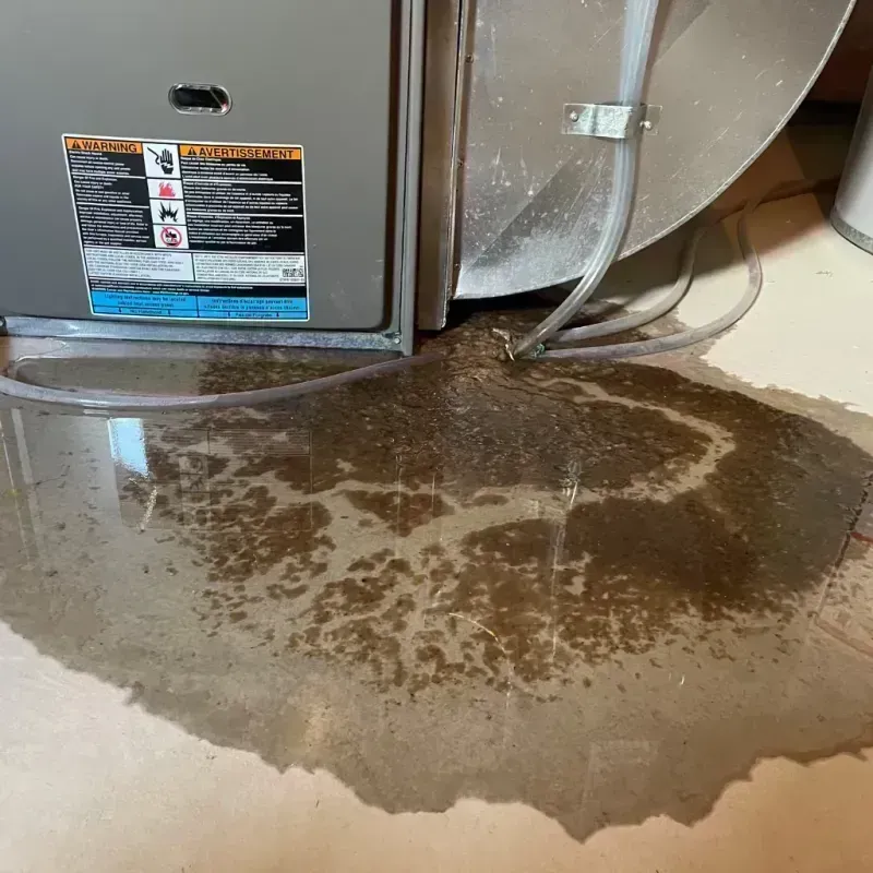 Appliance Leak Cleanup in Blue Island, IL